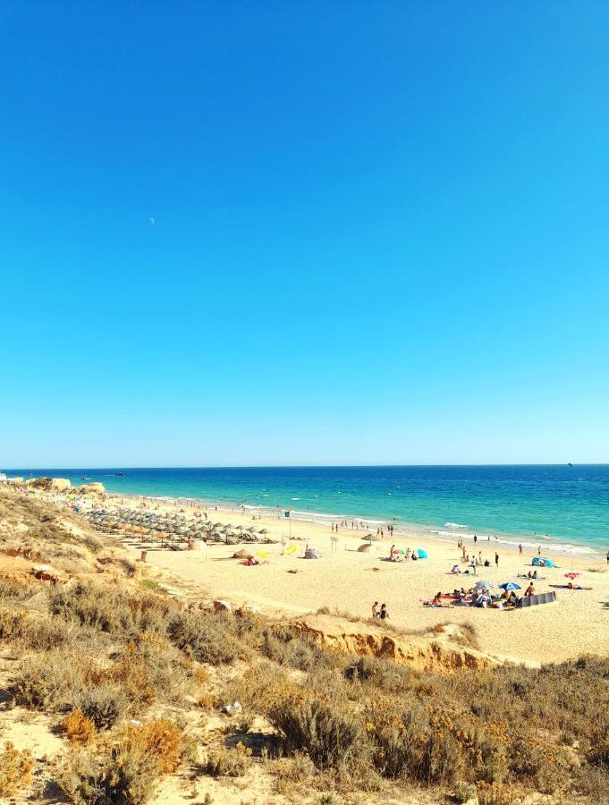 Tropicana One Bedroom Flat T1 In Albufeira Gale Close To 8 Beaches Exterior photo